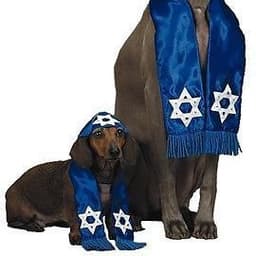 jewre